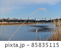 寒中散歩風景　多摩川の流れと枯れすすきの前ボケ　鉄橋を渡る電車　冬の青空　広角撮影冬の多摩川 85835115