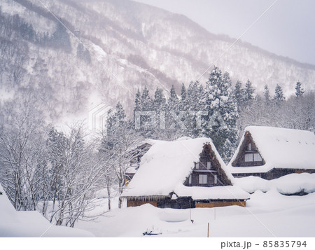 世界遺産相倉合掌造り集落の雪景色 85835794