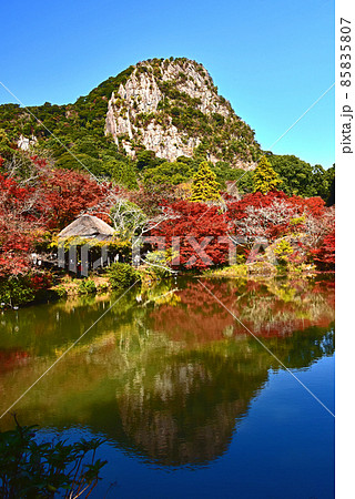 佐賀県　武雄市　嬉野温泉近辺の紅葉 85835807