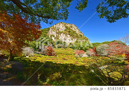 佐賀県　武雄市　嬉野温泉近辺の紅葉 85835871