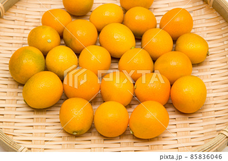 キンカン　金柑 85836046