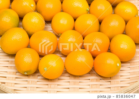 キンカン　金柑 85836047