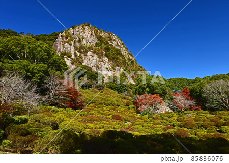 佐賀県　武雄市　嬉野温泉近辺の紅葉 85836076