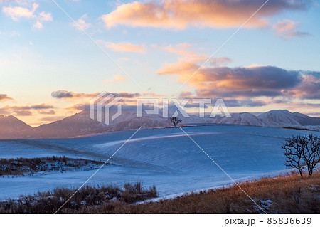 早朝の雪降る阿蘇の積雪した朝焼けの風景 早朝の雪降る阿蘇の積雪した朝焼けの風景 85836639