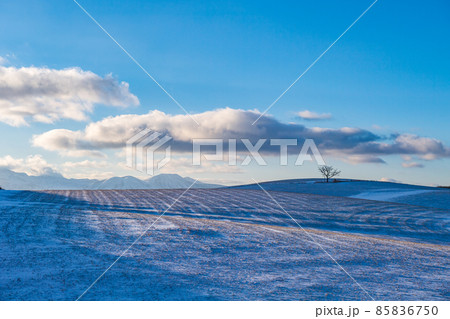 早朝の雪降る阿蘇の積雪した朝焼けの風景 早朝の雪降る阿蘇の積雪した朝焼けの風景 85836750