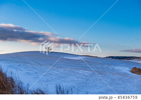 早朝の雪降る阿蘇の積雪した朝焼けの風景 早朝の雪降る阿蘇の積雪した朝焼けの風景 85836759