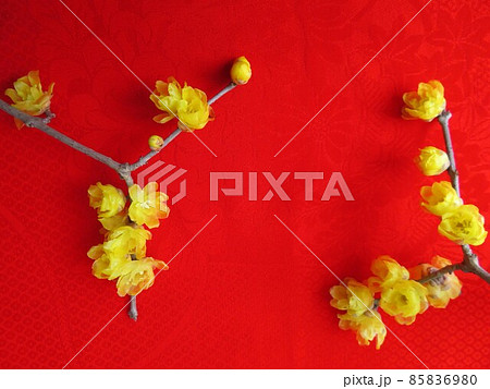 着物を背景にしたロウバイ 85836980