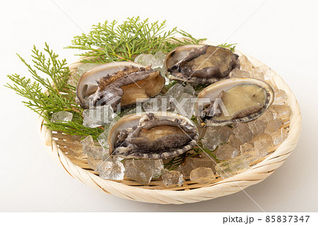 活アワビ 85837347