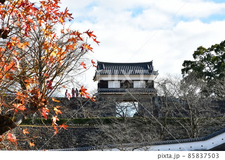 秋の臼杵城下町　臼杵城跡 85837503