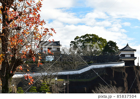 秋の臼杵城下町　臼杵城跡 85837504