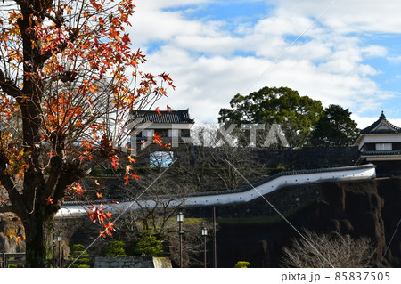 秋の臼杵城下町　臼杵城跡 85837505