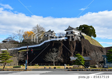 秋の臼杵城下町　臼杵城跡 85837519