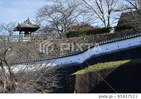 秋の臼杵城下町 臼杵城跡 秋の臼杵城下町 臼杵城跡 85837521