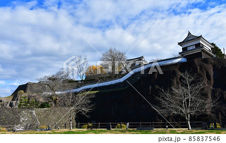 秋の臼杵城下町　臼杵城跡 85837546