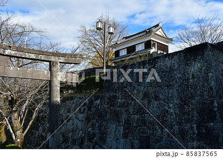 秋の臼杵城下町　臼杵城跡 85837565