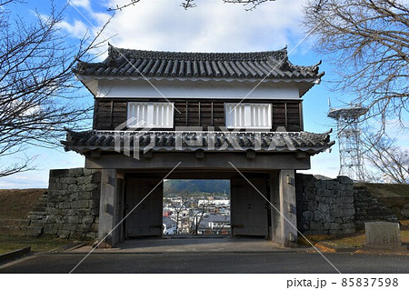 秋の臼杵城下町 臼杵城跡 秋の臼杵城下町 臼杵城跡 85837598