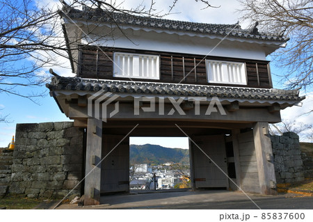 秋の臼杵城下町　臼杵城跡 85837600