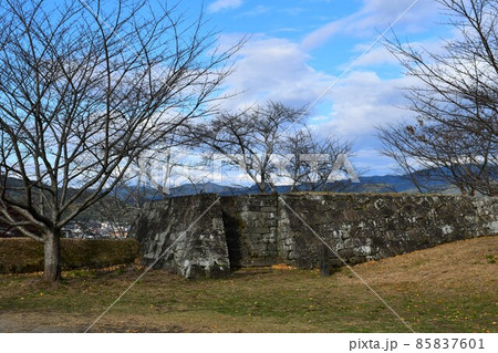 秋の臼杵城下町　臼杵城跡 85837601