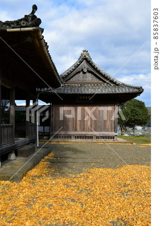 秋の臼杵城下町 臼杵城跡 秋の臼杵城下町 臼杵城跡 85837603