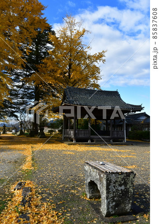 秋の臼杵城下町　臼杵城跡 85837608