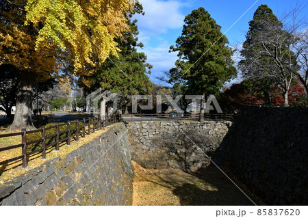 秋の臼杵城下町　臼杵城跡 85837620