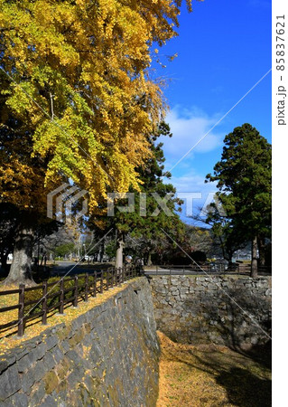 秋の臼杵城下町 臼杵城跡 秋の臼杵城下町 臼杵城跡 85837621