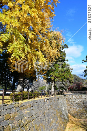 秋の臼杵城下町　臼杵城跡 85837624