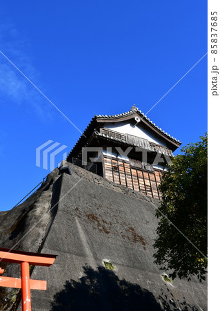 秋の臼杵城下町　臼杵城跡 85837685