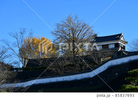 秋の臼杵城下町　臼杵城跡 85837693