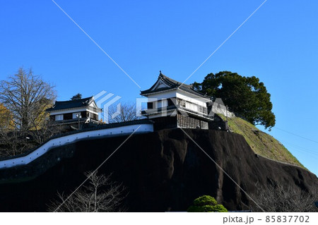 秋の臼杵城下町　臼杵城跡 85837702