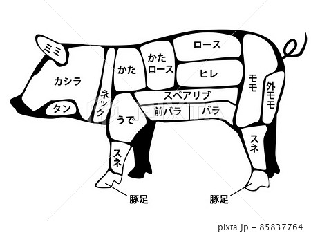 豚肉部位 85837764