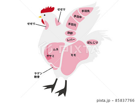 鶏肉部位 85837766