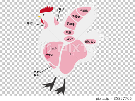 雞肉部分 雞肉部分 85837766