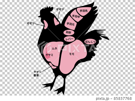 雞肉部分 雞肉部分 85837768