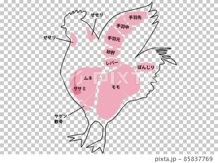 鶏肉部位 鶏肉部位 85837769
