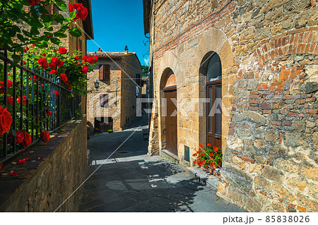 Old stone houses and garden with roses in Tuscany, Italy Old stone houses and garden with roses in Tuscany, Italy 85838026