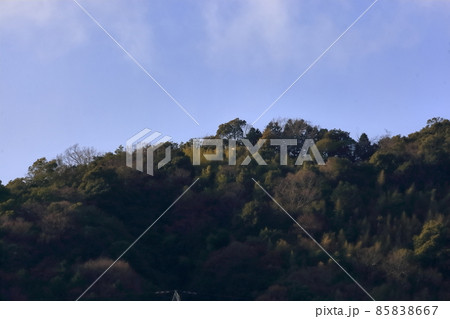 武田山の山頂付近 (広島市安佐南区) 武田山の山頂付近 (広島市安佐南区) 85838667