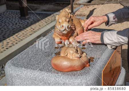 和気清麻呂を祀る和気神社の撫で猪 85838680