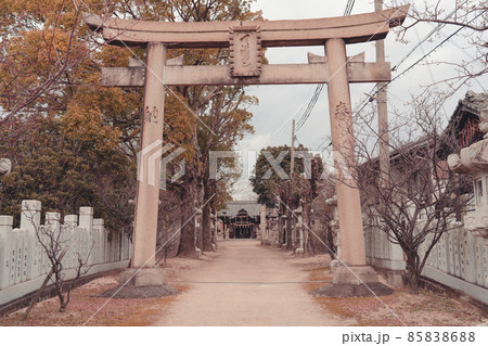 散歩道の神社 85838688