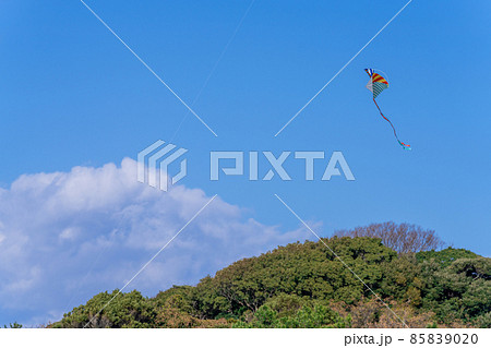 青空に舞う、凧・たこ・カイト 85839020