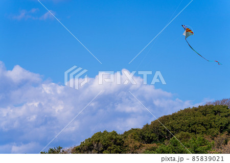 青空に舞う、凧・たこ・カイト 85839021