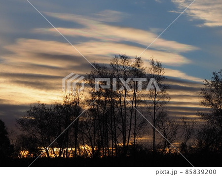冬の夕景 85839200