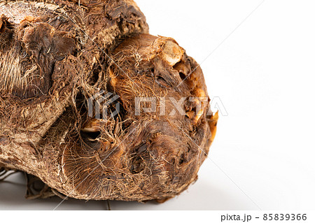 八ツ頭 八ツ頭 85839366