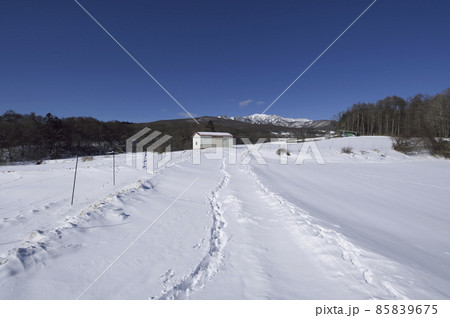 雪の嬬恋、遠くに四阿山 85839675