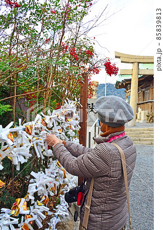 神社の境内でおみくじを結びつける女性 神社の境内でおみくじを結びつける女性 85839813