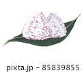 おにぎり 85839855