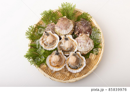 殻付きホタテ 殻付きホタテ 85839976