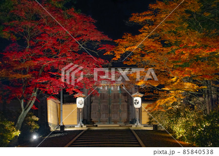 高野山金剛峯寺　紅葉ライトアップ　和歌山県伊都郡高野町 85840538