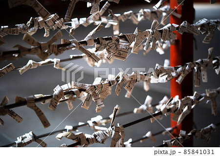 おみくじ 85841031