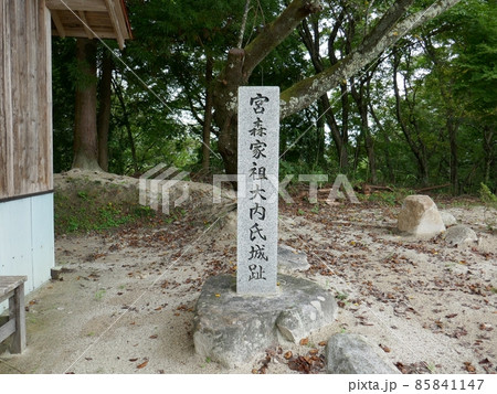 宮森城址   (福島県二本松市) 宮森城址   (福島県二本松市) 85841147
